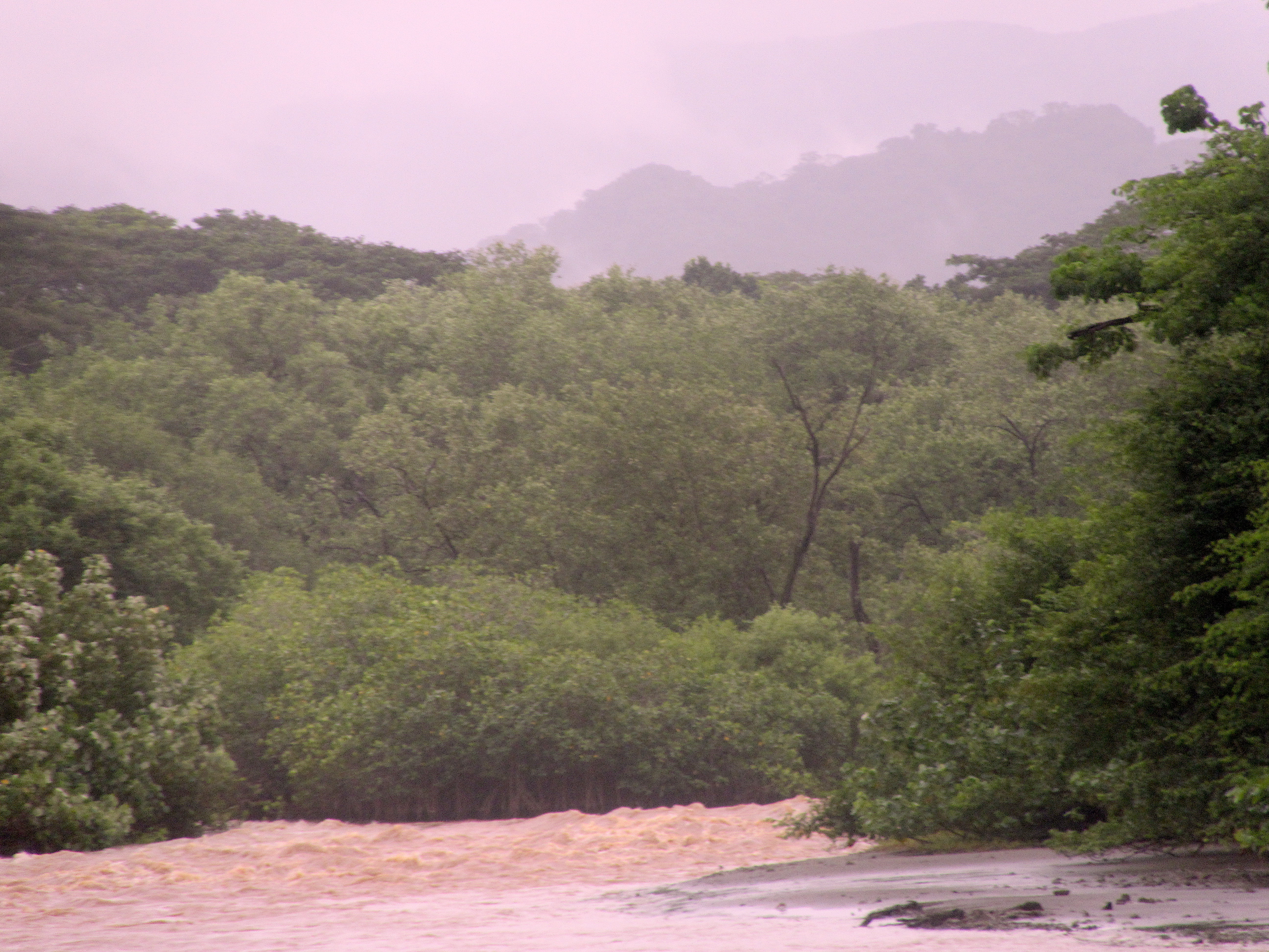 tropischer Regen Costa Rica