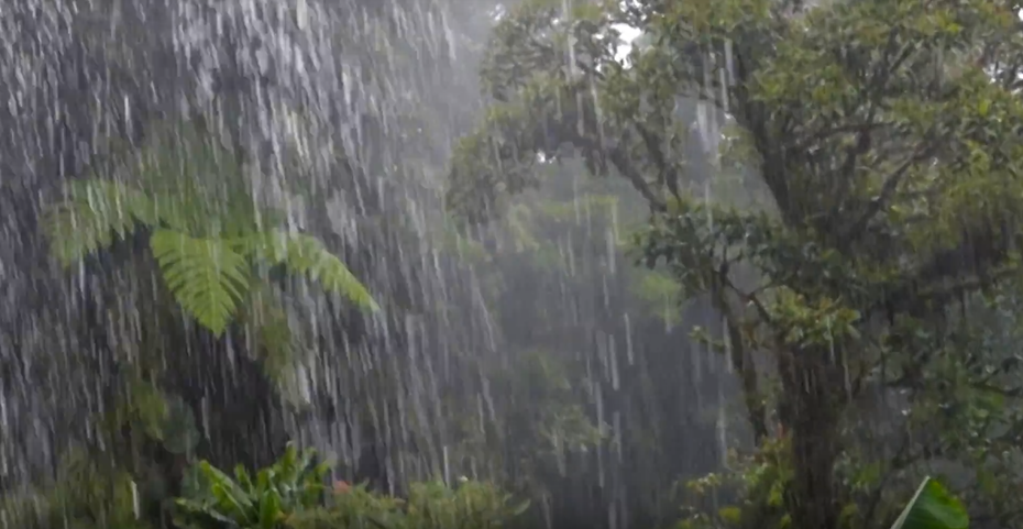 Regenzeit Costa Rica