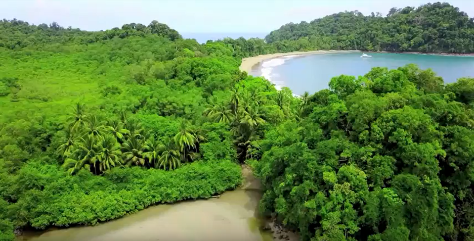 Costa Rica grüner Wald