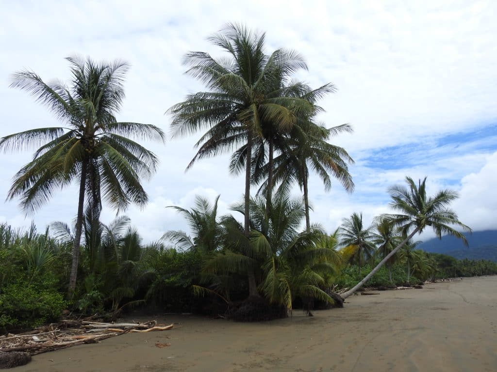 Urlaub 2023 Costa Rica