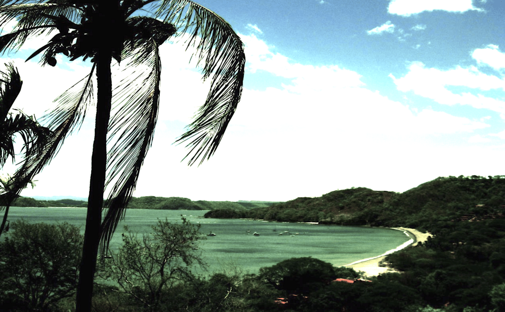 Artenschutz costa rica